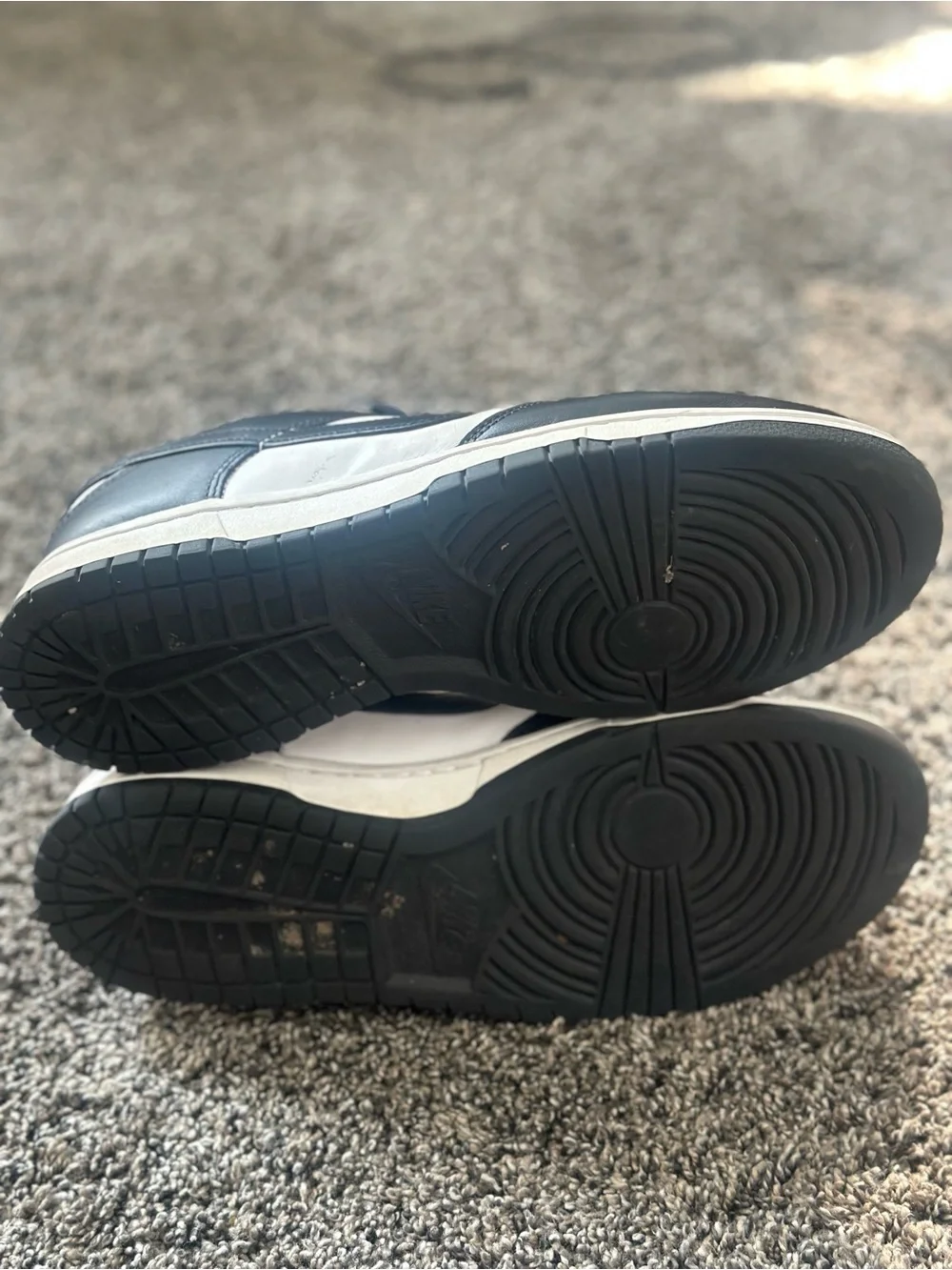 Nike Dunk Low Size 10.5 🔥 Used — Good Condition